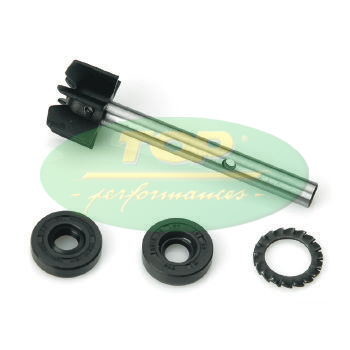 Kit pompa apa Aprilia Leonardo 125-150cc /TOP AA00811